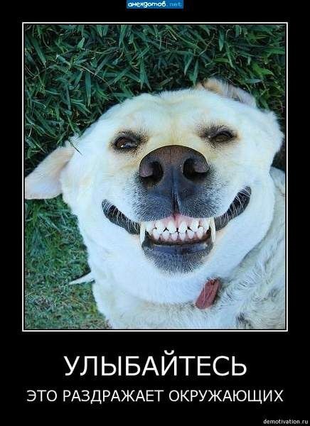 Улыбайтесь этому дню мем