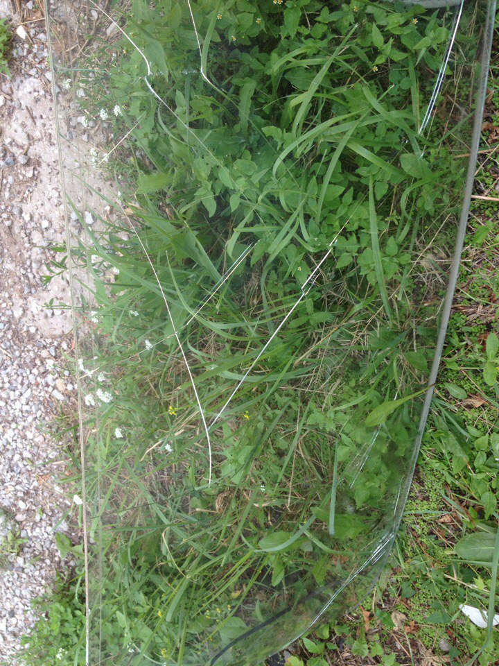 Замена ветрового стекла — Lada 21065, 1,6 л, 2000 года | своими руками ...