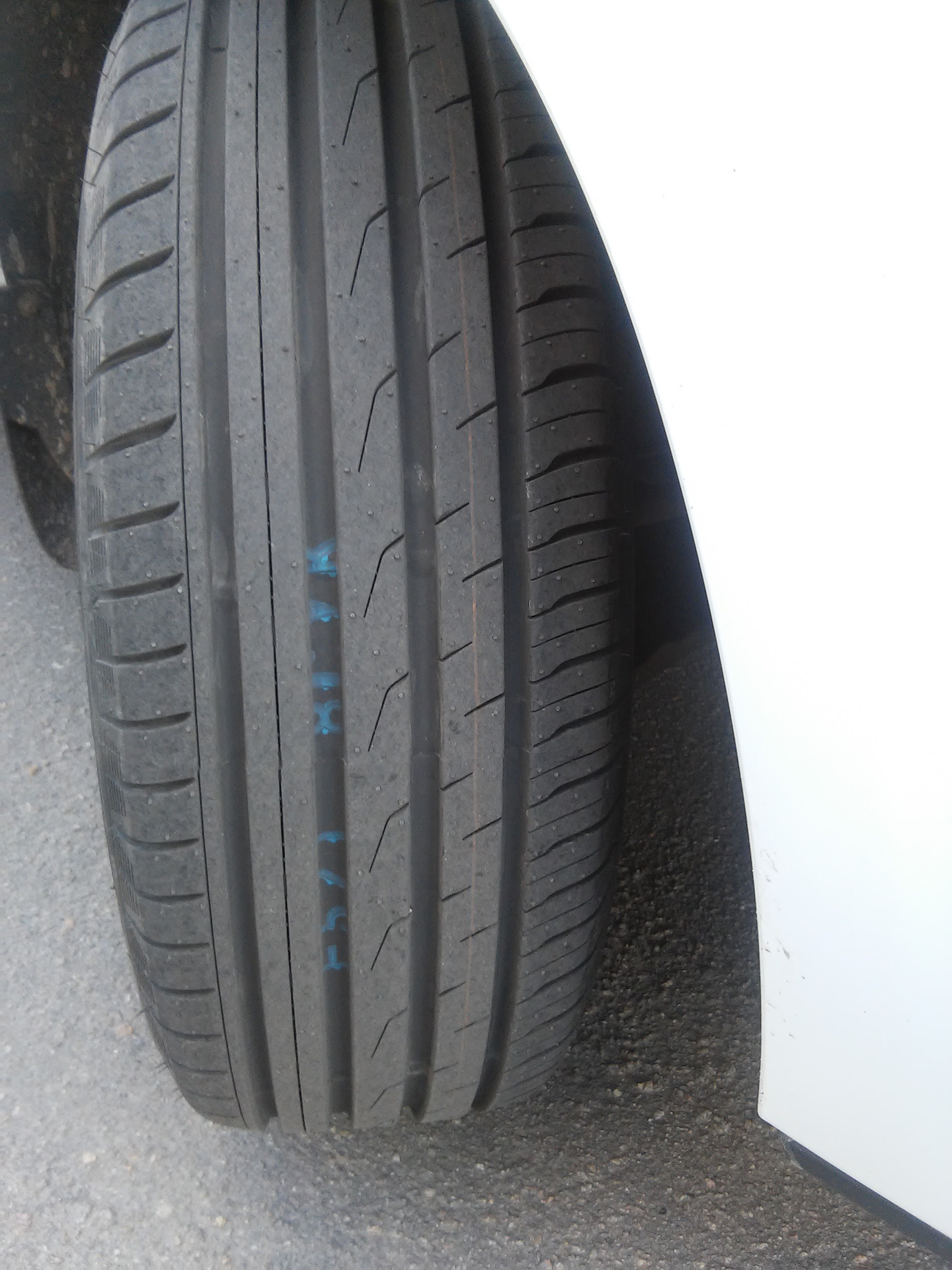 Купить Toyo Proxes Cf2 195 55 R16