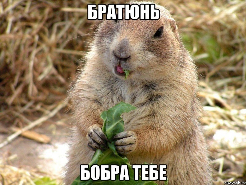 Машина не видит ключ иммобилайзер что делать приора. Смотреть фото Машина не видит ключ иммобилайзер что делать приора. Смотреть картинку Машина не видит ключ иммобилайзер что делать приора. Картинка про Машина не видит ключ иммобилайзер что делать приора. Фото Машина не видит ключ иммобилайзер что делать приора