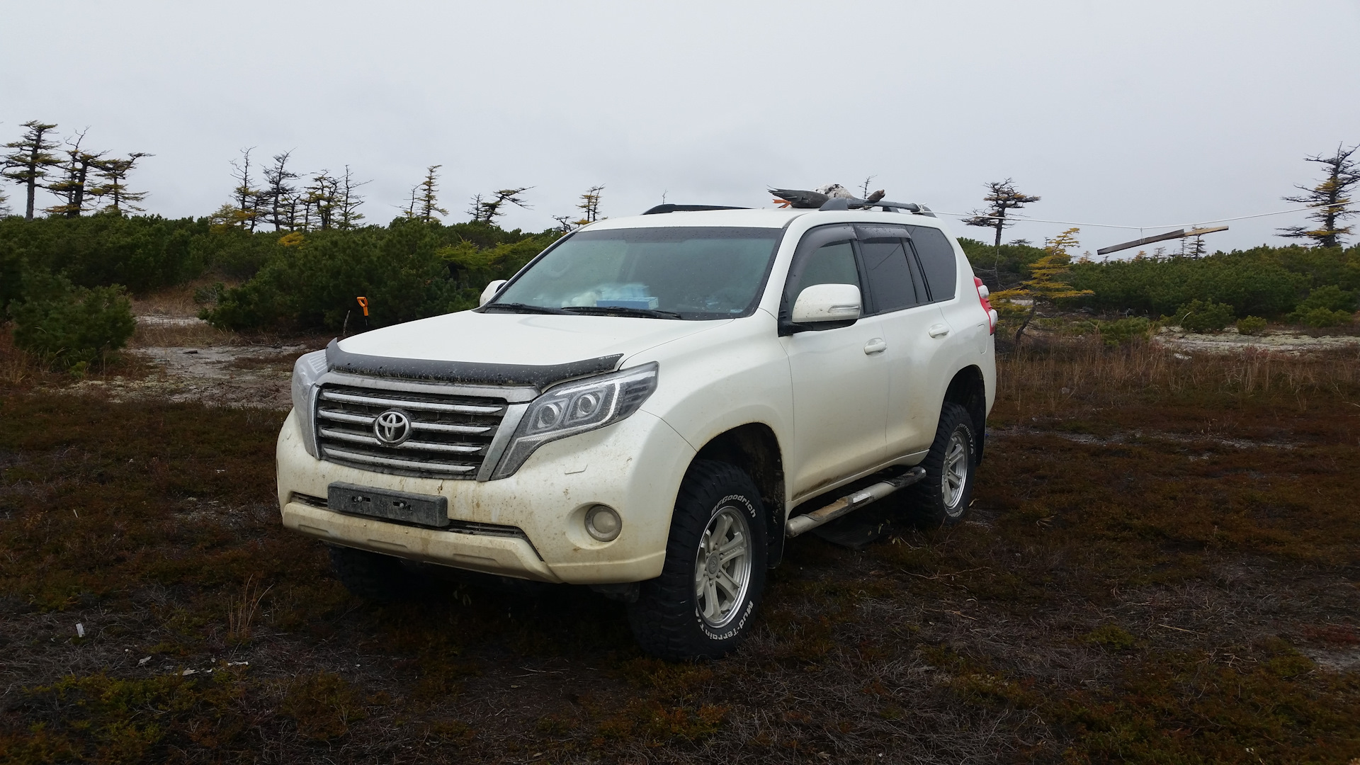 тойота ленд крузер прадо 190. Toyota land cruiser 150 2009 png. Prado 333. тойота ленд крушзко правдо. тойота прадо 2022 белый жемчуг.