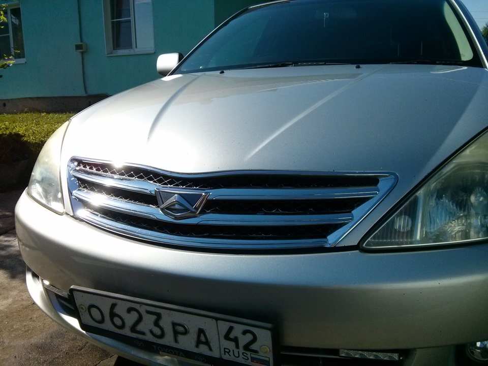 Очистка от битума — Toyota Allion (T240), 1,8 л, 2002 года | мойка | DRIVE2