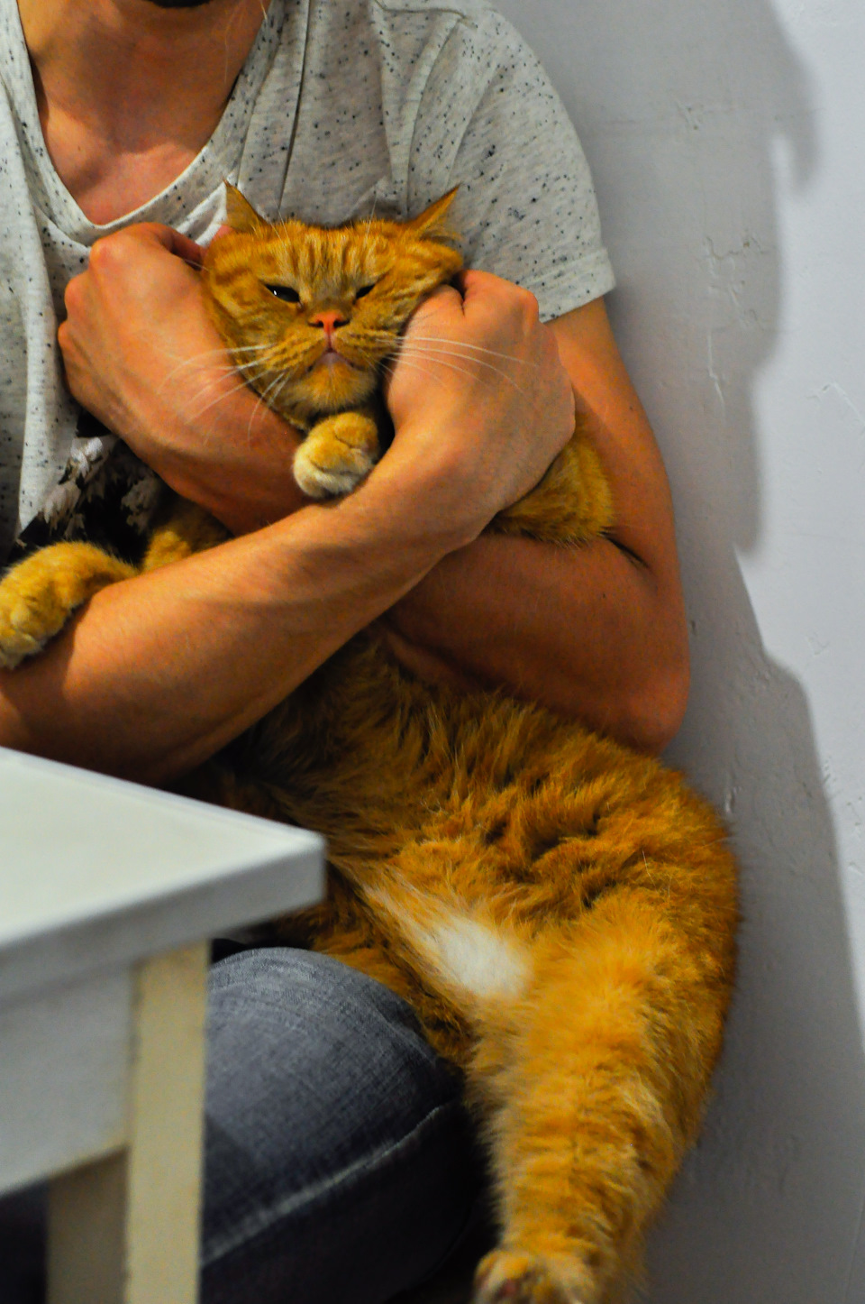 Плюшевый котяра))) — Chevrolet Niva (1G)