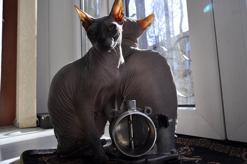 Фото в бортжурнале Land Rover Range Rover Evoque (1G)