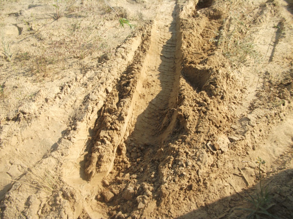 Проверка сцепления Приоры — Lada 2120 Надежда, 1,8 л, 2004 года ...