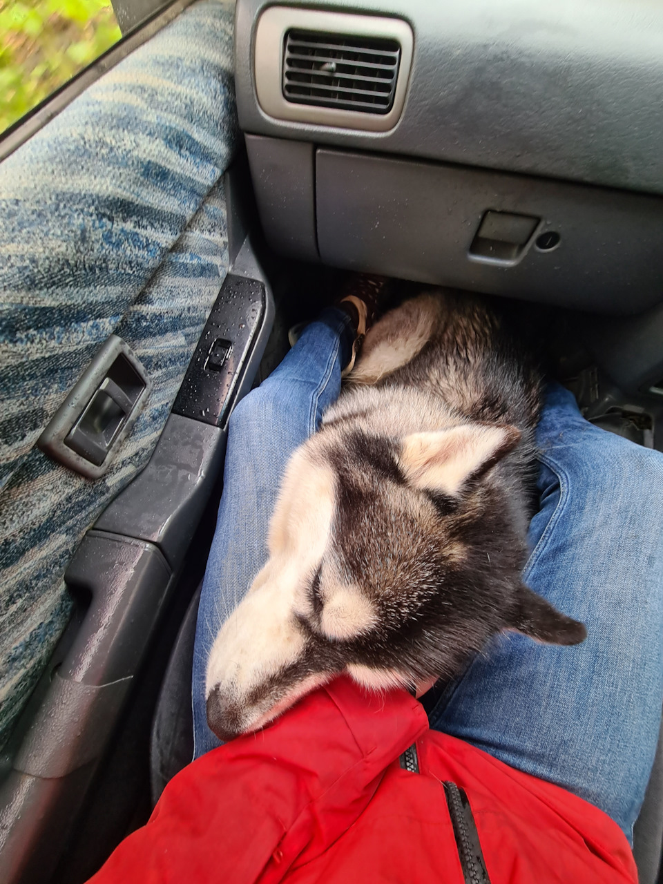 Вот, кстати. По дрова ездили троём. — Nissan Terrano I