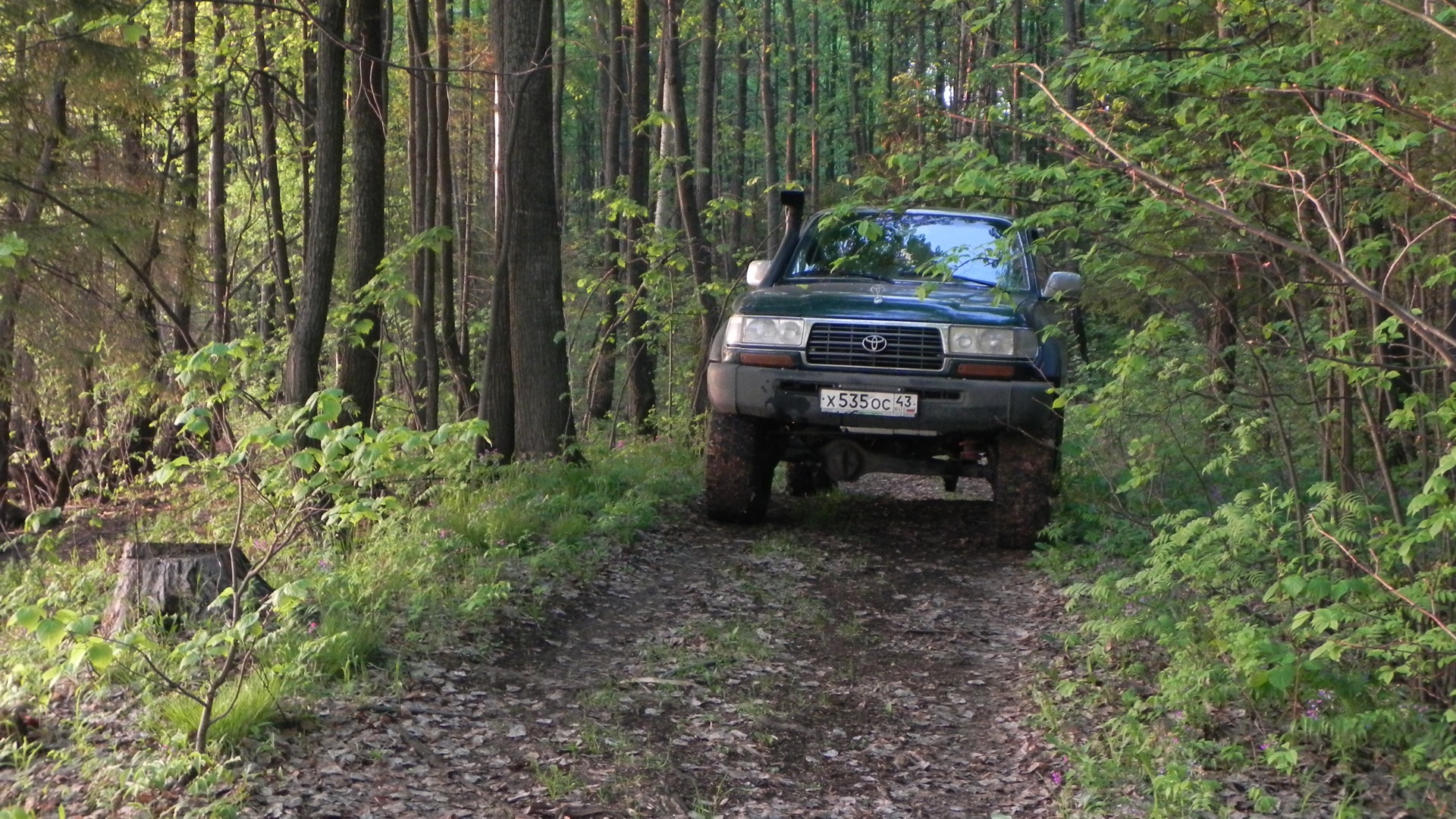 Toyota Land Cruiser 80 дизельный 1995 | Зеленый на DRIVE2