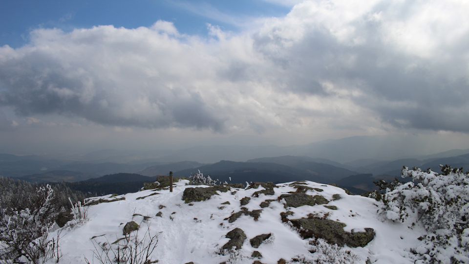Фото в бортжурнале Audi A4 (B9)