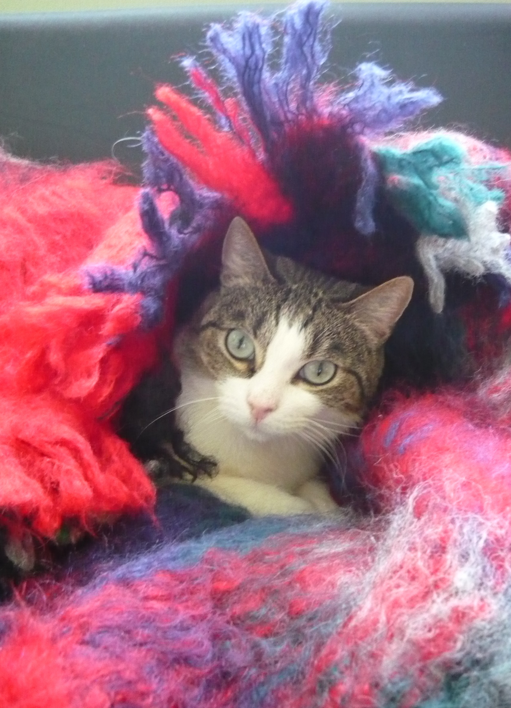 Фото сессия Емеля & Геля — DRIVE2