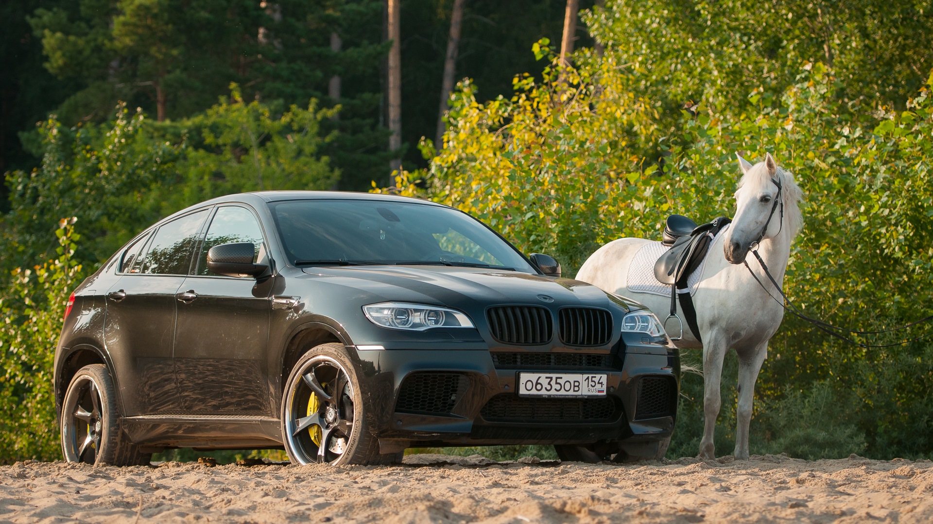 BMW x6 e71 Лошадиные силы