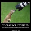 на каком уровне должны быть педали сцепления и тормоза. Смотреть фото на каком уровне должны быть педали сцепления и тормоза. Смотреть картинку на каком уровне должны быть педали сцепления и тормоза. Картинка про на каком уровне должны быть педали сцепления и тормоза. Фото на каком уровне должны быть педали сцепления и тормоза