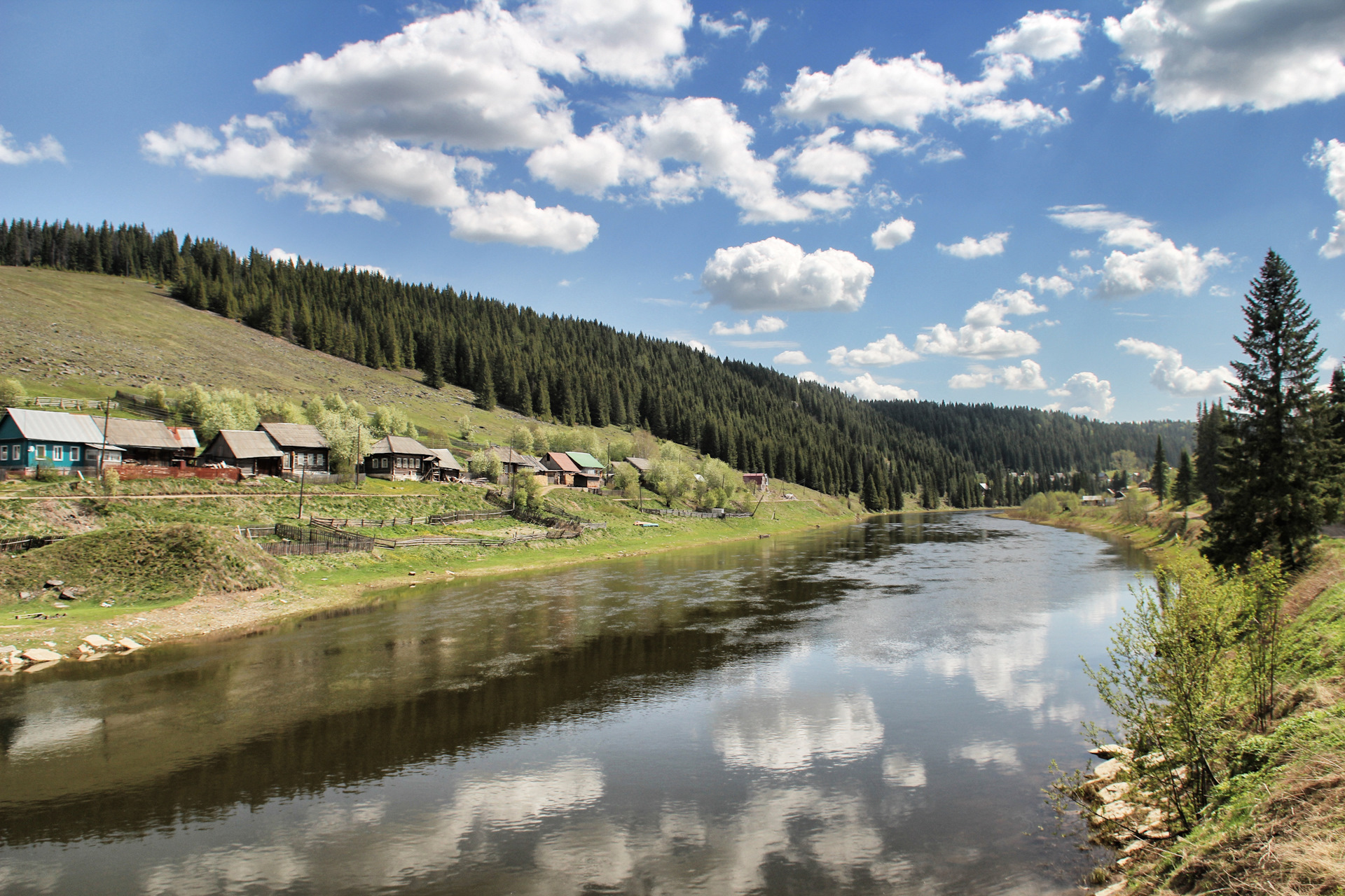 Кусье александровский фото