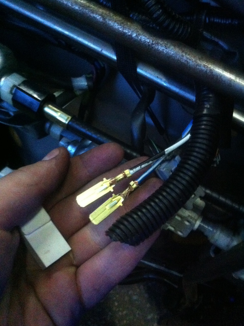 Фото в бортжурнале Toyota Windom (20)