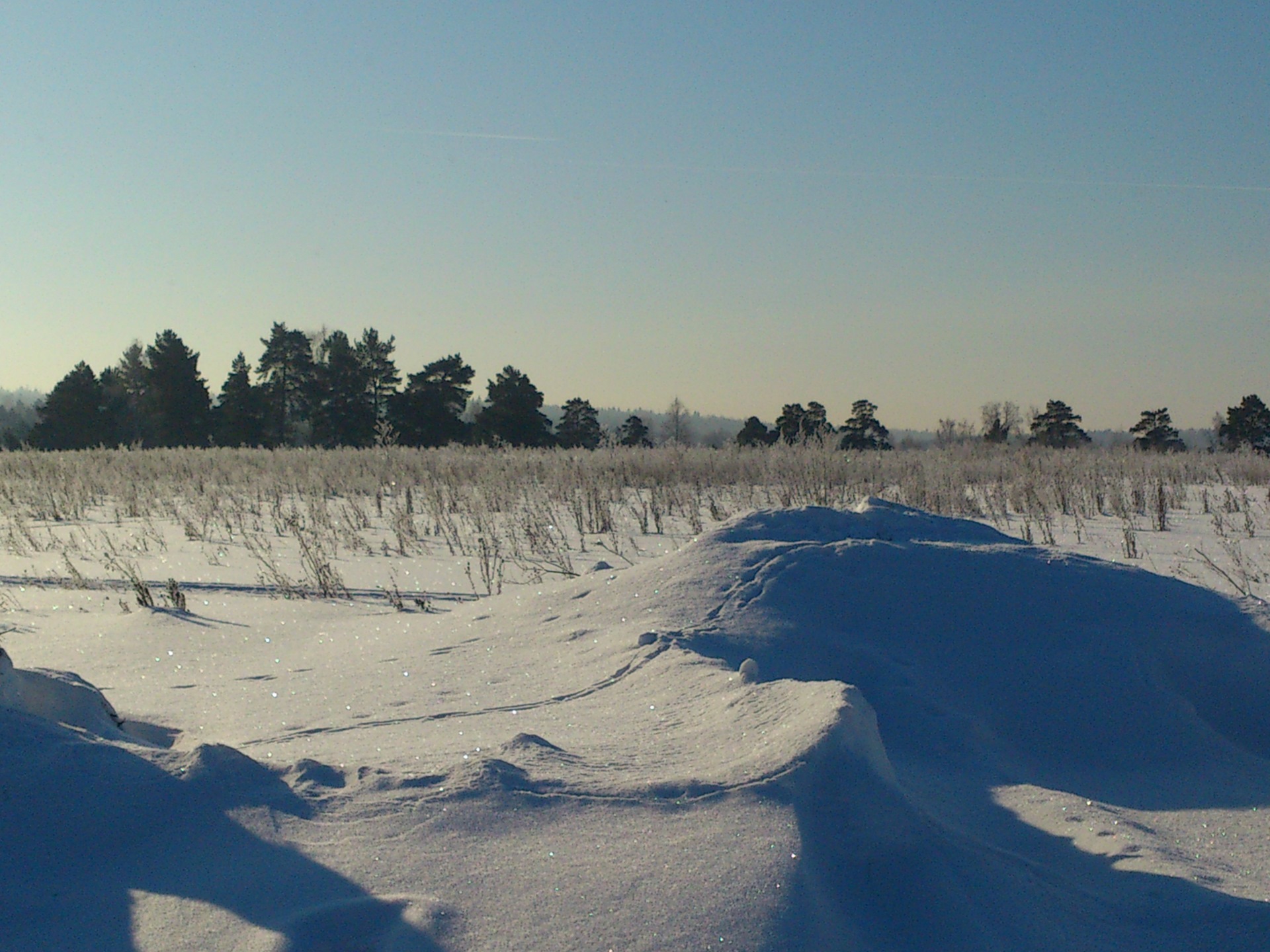 Снежное поле — Lada 4x4 3D, 1,7 л, 2002 года | покатушки | DRIVE2