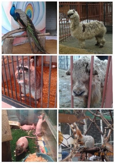 Здравствуй Липецк) — Hyundai Solaris, 1,6 л, 2013 года | покатушки | DRIVE2