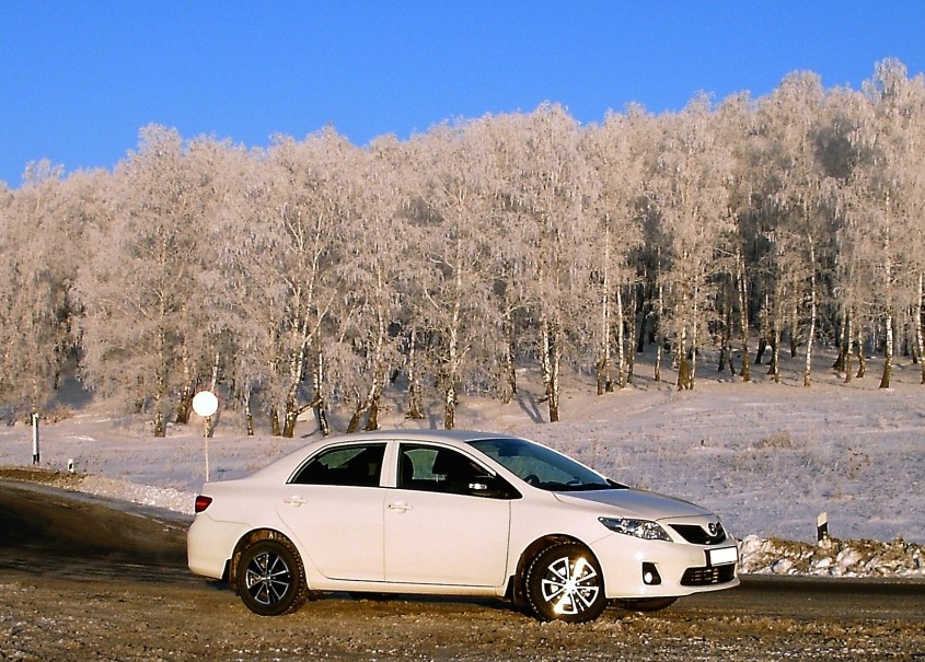    Toyota Corolla 16 2010