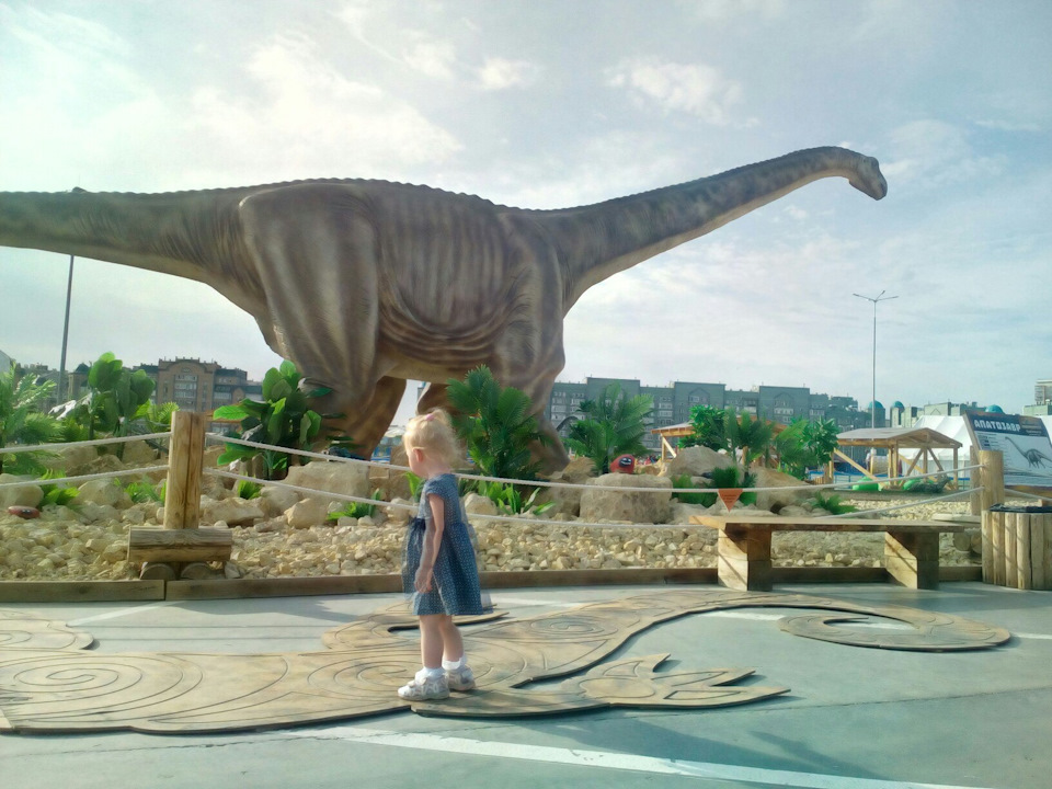 Фото в бортжурнале Renault Symbol