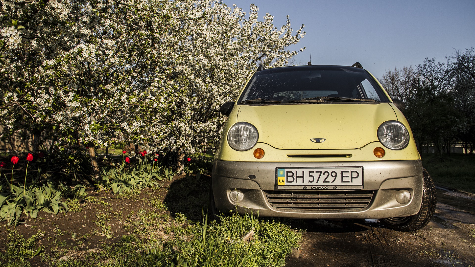 Daewoo Matiz (M100, M150) 1.0 бензиновый 2006 | BEST 1.0 на DRIVE2