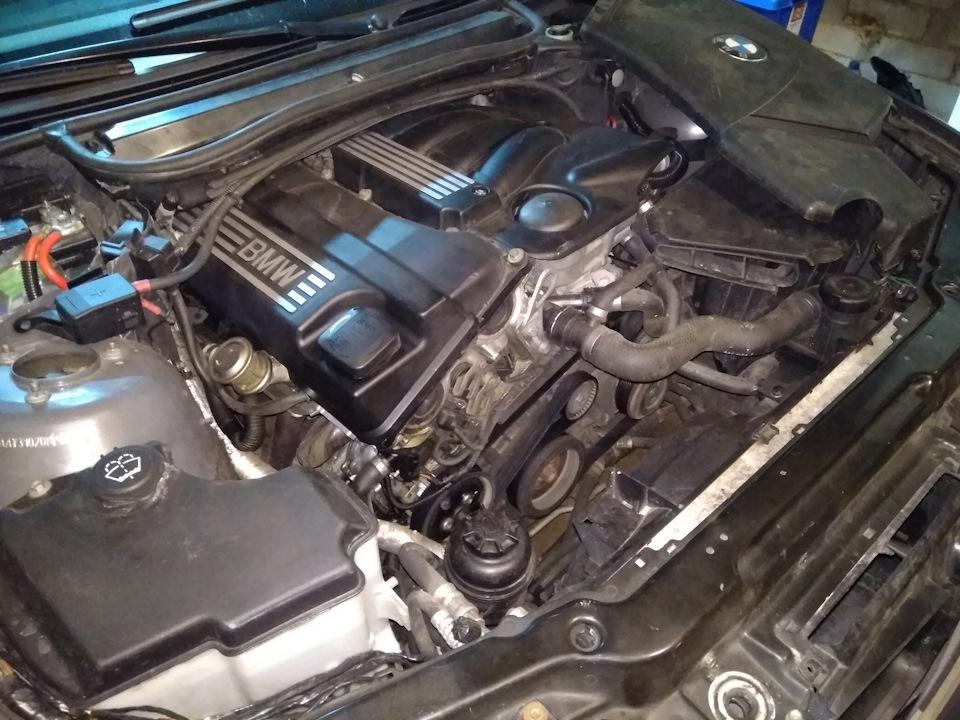 BMW e46 N42 промывка электромагнитных клапанов VANOS — DRIVE2