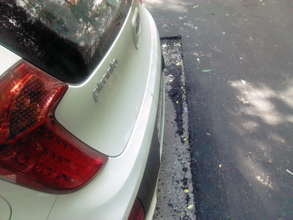 Фото в бортжурнале KIA Picanto (2G)