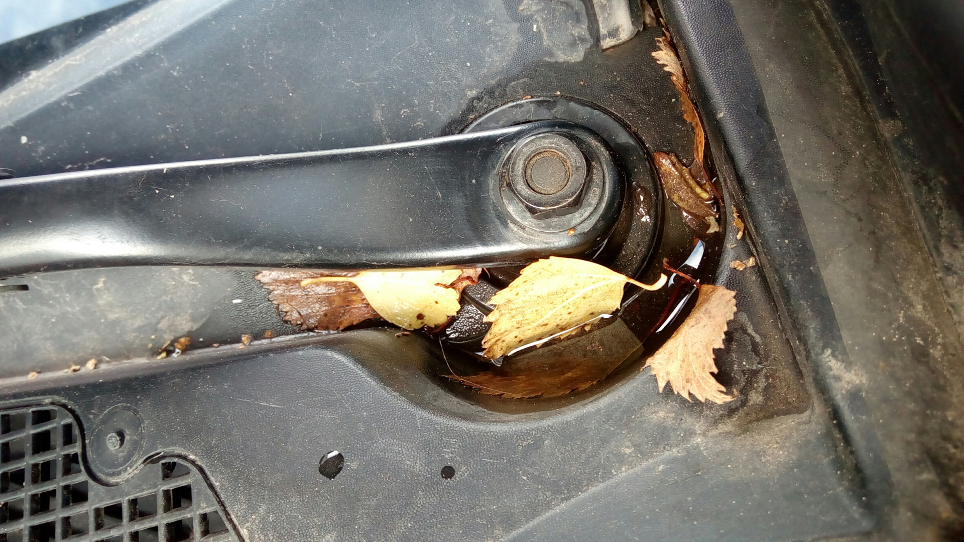 Дренажные отверстия peugeot 308. Щётка для чистки трубок люка автомобиля. Прочистка дренажных отверстий рено меган 2. Дренажные отверстия пассат б5. Нива шевроле прочистка дренажных отверстий.