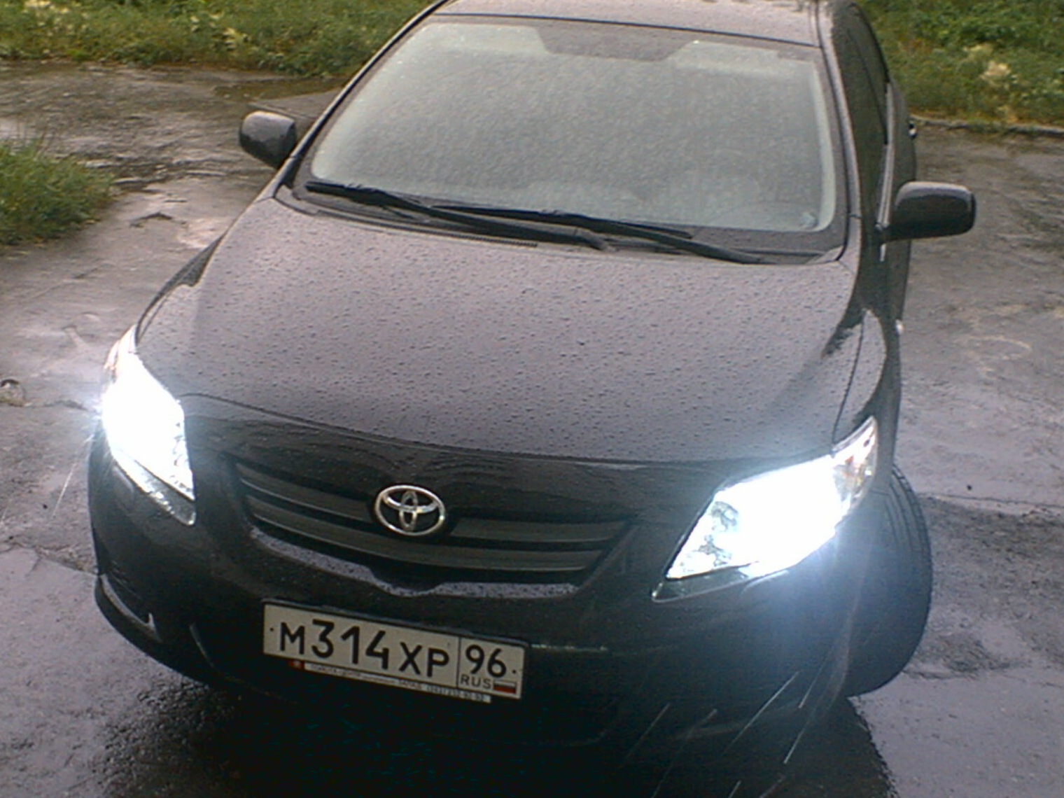 Xenon - Toyota Corolla 16 L 2008