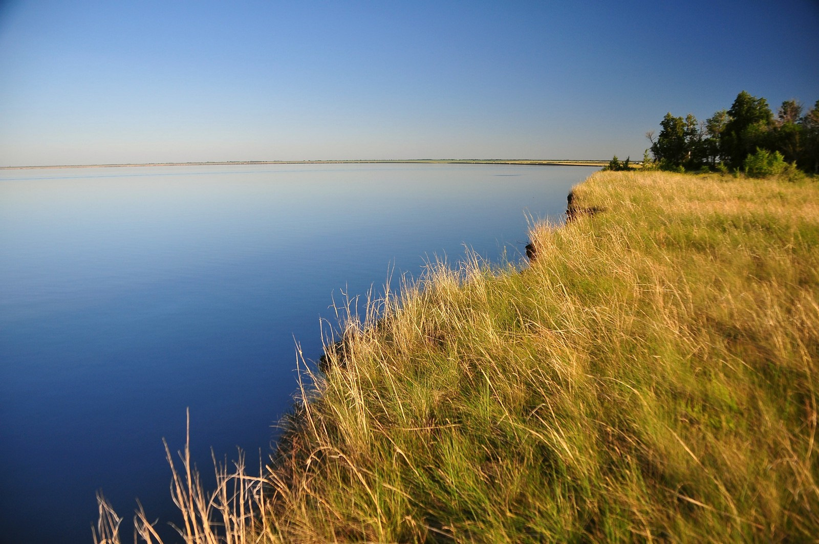 Озеро ясное глубина. Озеро Яровое Алтайский край. Большое Яровое озеро Алтайского. Озеро большое Яровое. Степной Алтай озеро Яровое.