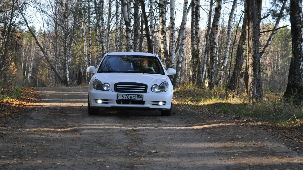 Hyundai Sonata IV (EF) 2.0 бензиновый 2005 | Белый мат) на DRIVE2