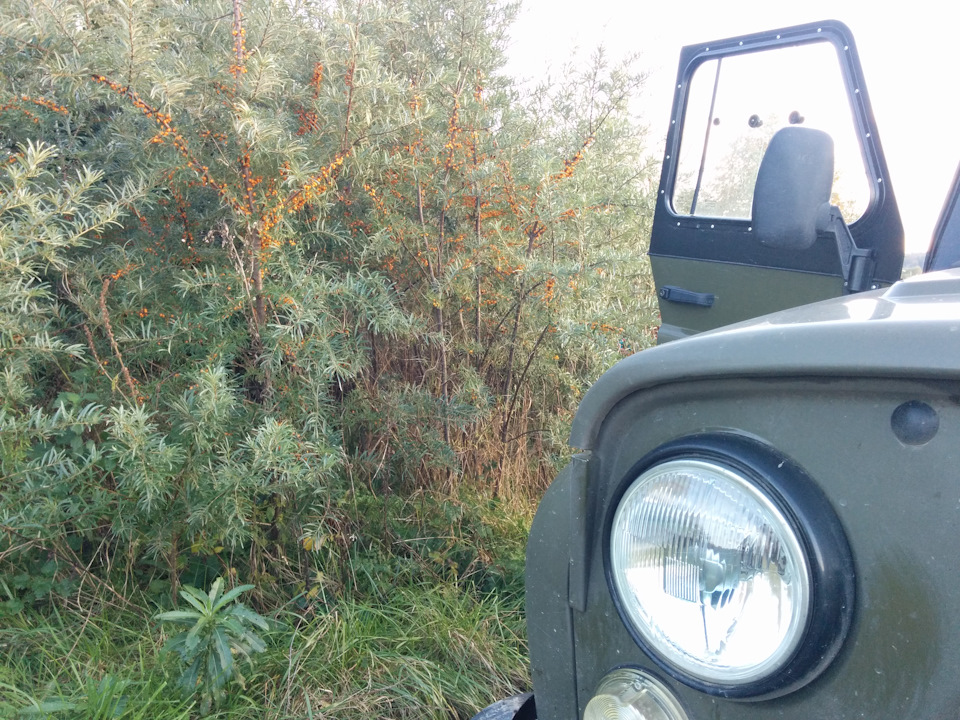 Фото в бортжурнале УАЗ 315195 Hunter