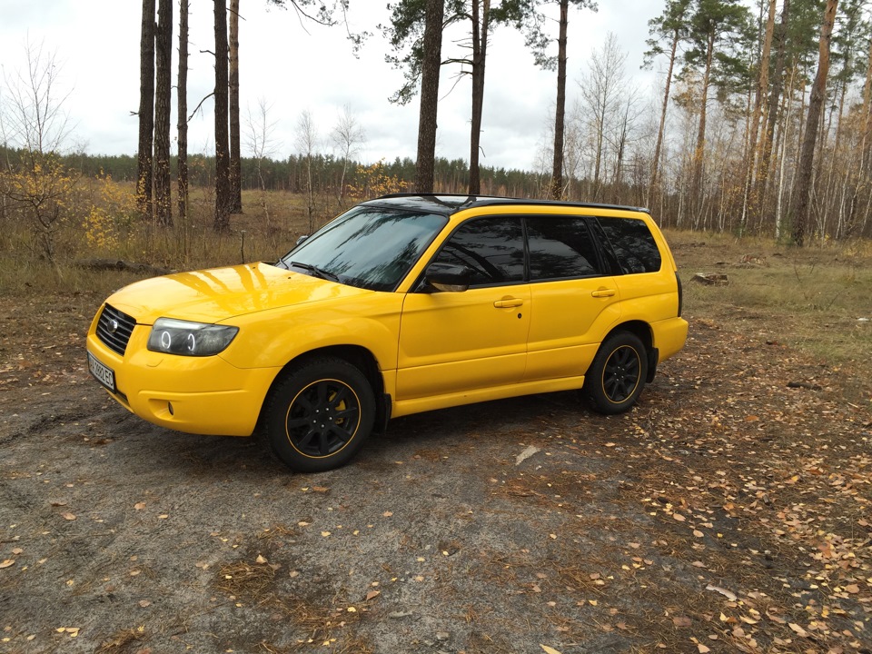 Форестер ростов. Subaru Forester sg9 желтый. Субару Форестер sg5. Subaru Forester SF Yellow. Субару Форестер 2003 желтый.