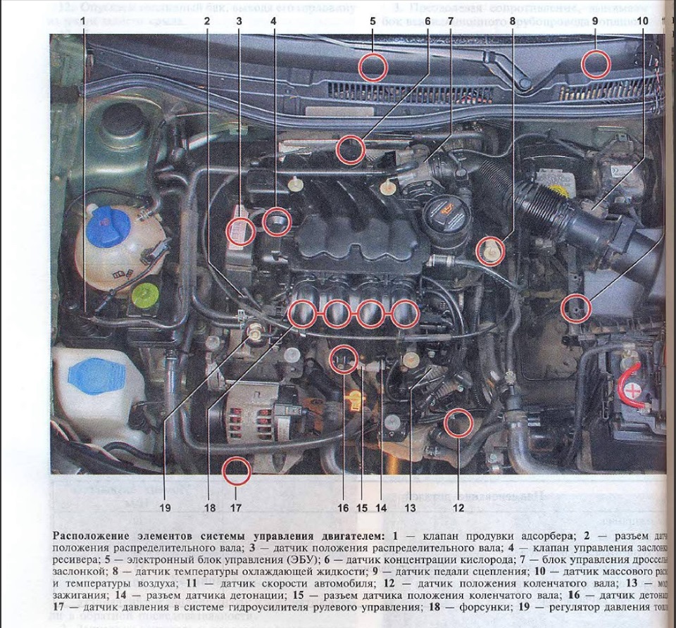 Покажи датчики на картинке. VW Polo 1.6 MPI расположение датчиков. Схема моторного отсека гольф 4 1.6 2000. Схема моторного отсека Skoda Octavia. Расположение датчиков двигателя Фольксваген гольф 5.