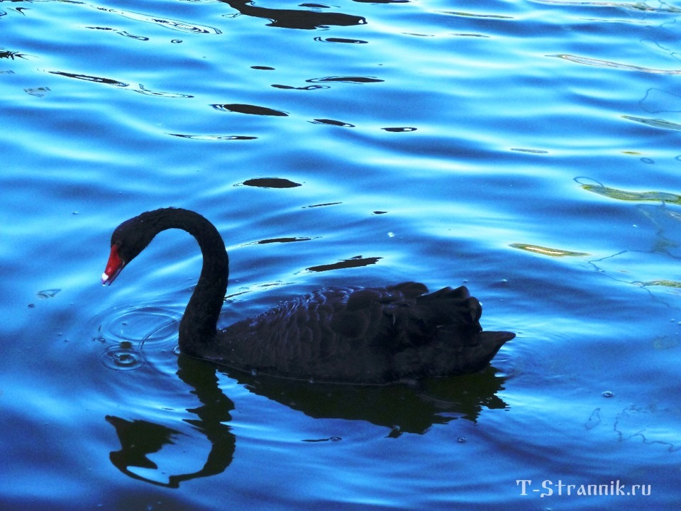 Миргород. Гоголевский городок. — Сообщество «Драйвер-Путешественник» на ...