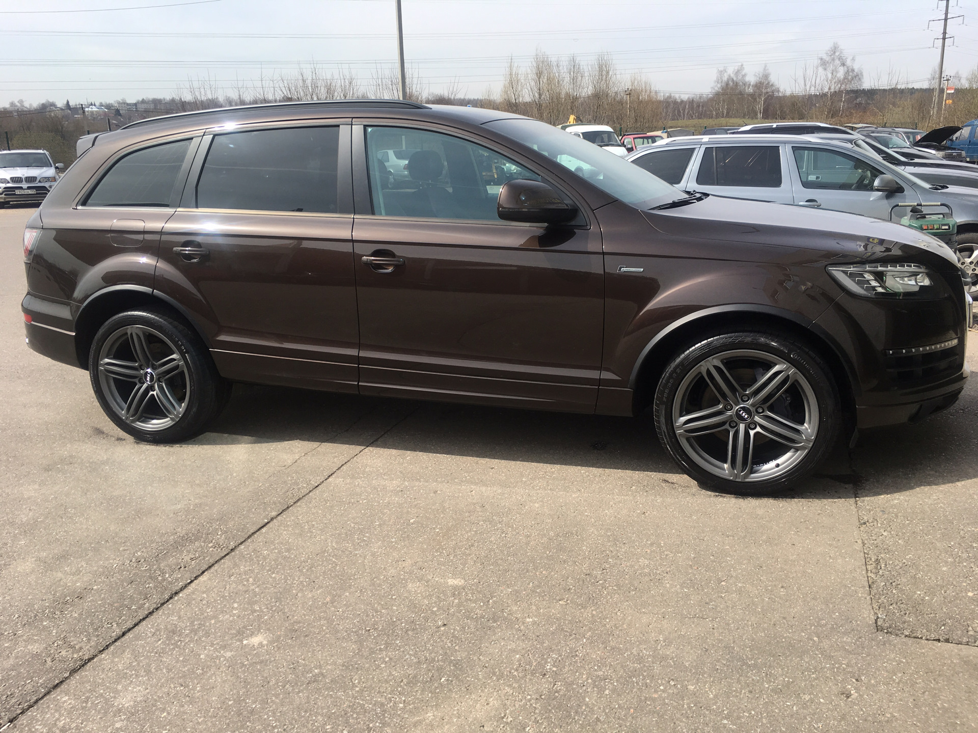 Диски r21. Диски Ауди q7 r21. Audi q7 диски графит. Диски r21 Audi q7 Speed line. Touareg NF диски q7 r21.