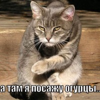 Льюис Клайв Стейплз. Расторжение брака. — DRIVE2