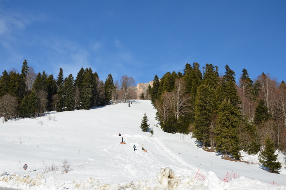 Яворова поляна гузерипль фото