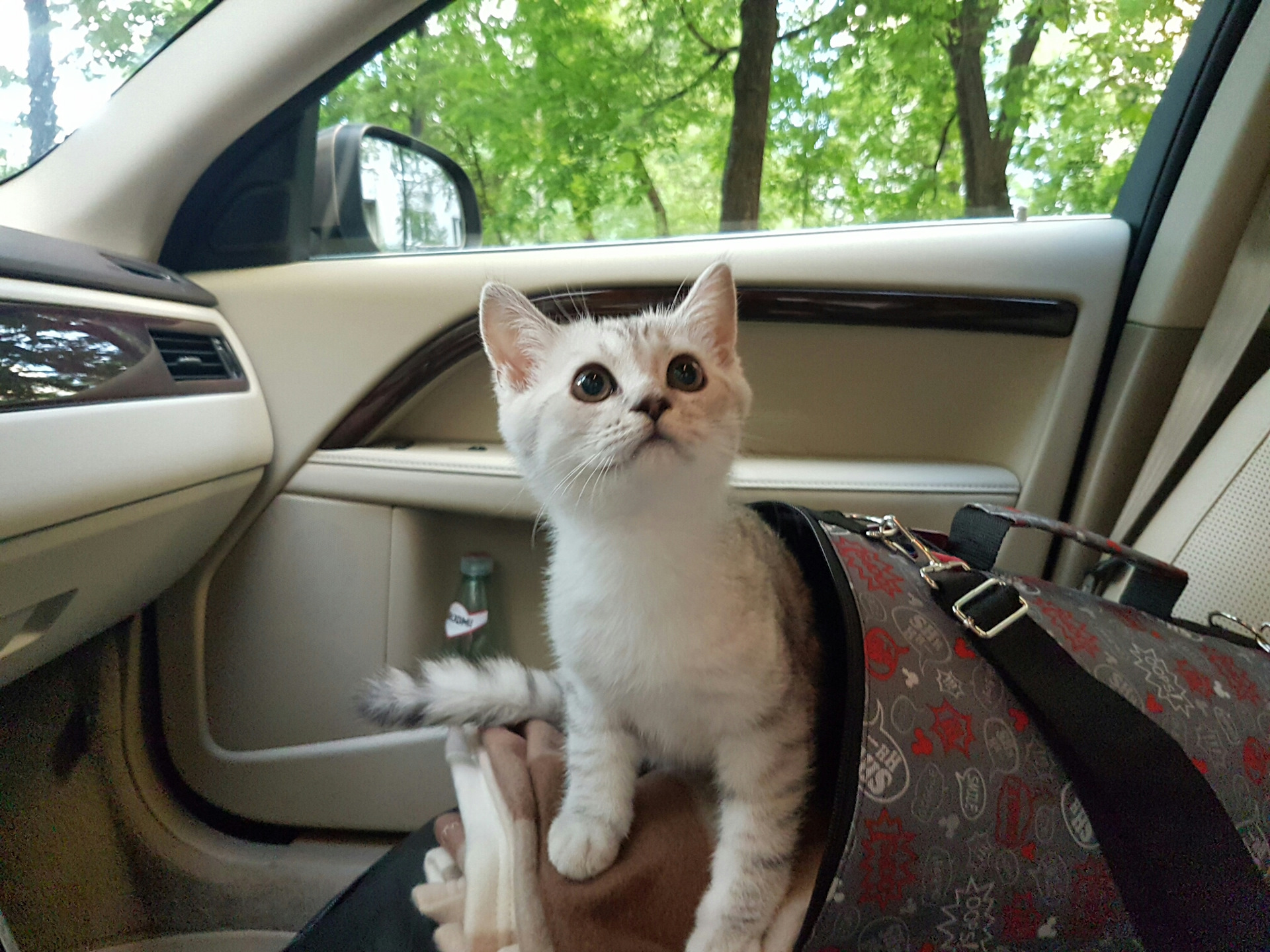 Атака клонов — Volvo S80 (2G), 2,5 л, 2012 года | просто так | DRIVE2