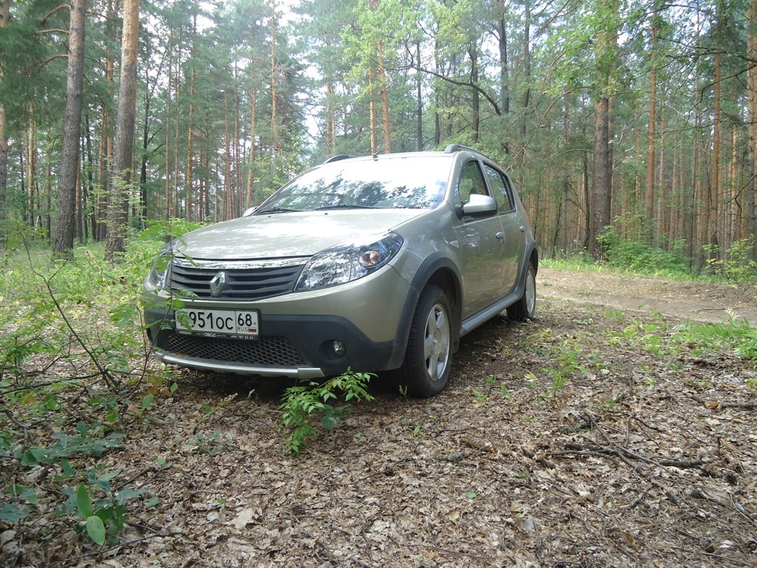 В лес за грибами — Renault Sandero 1G, 1,6 л, 2011 года | фотография |  DRIVE2