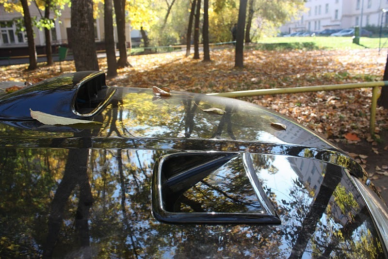 Фото в бортжурнале Subaru Forester (SG)