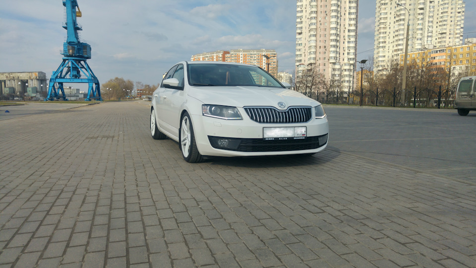 Фото в бортжурнале Skoda Octavia A7 Mk3