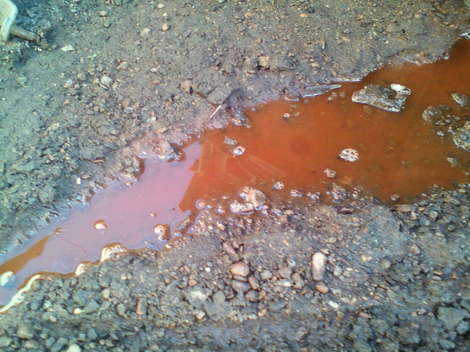 Фото в бортжурнале Bogdan 21104