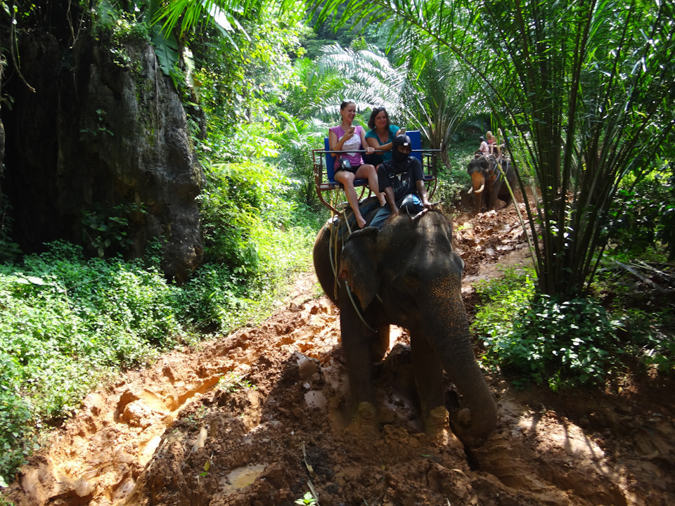 "4х4" — это я про 4 ноги! — DRIVE2