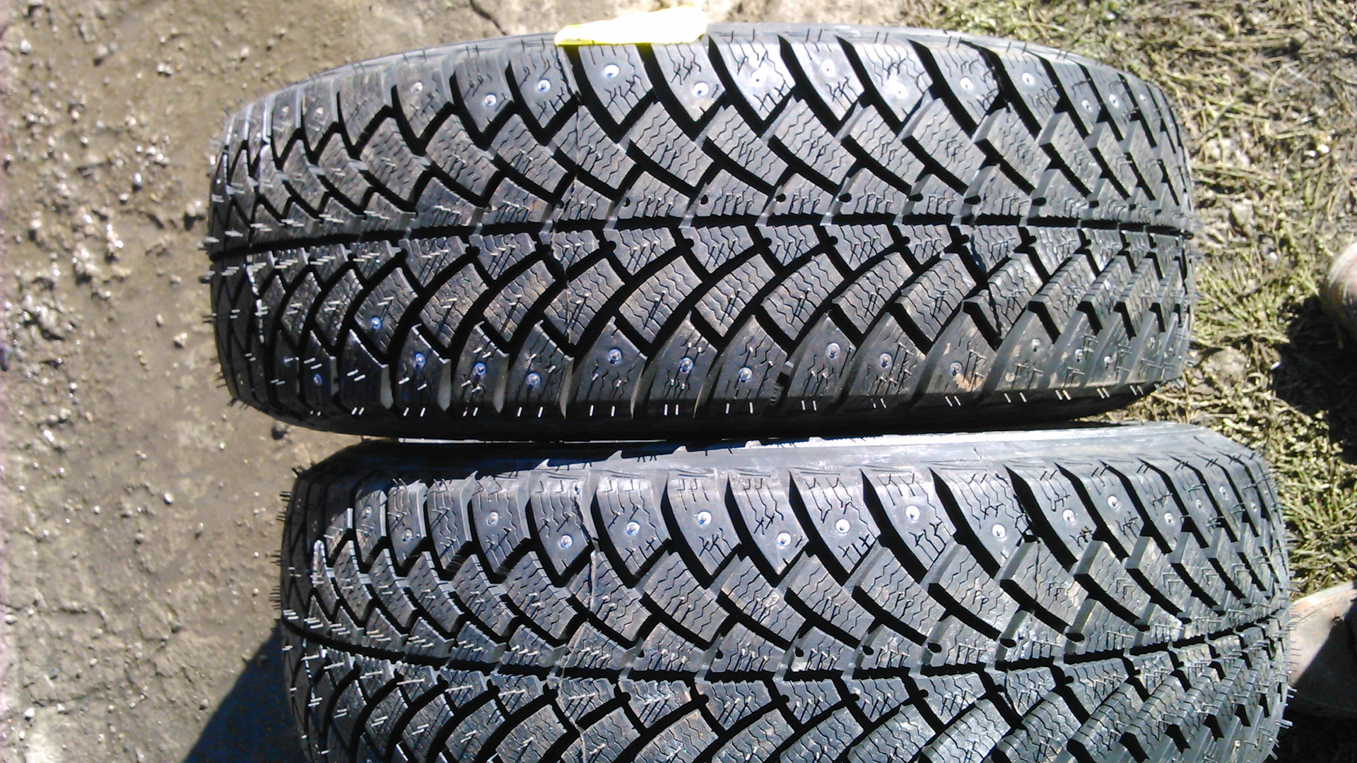 Stud 215 65 r16. 195/65*15 95q BFGOODRICH G-Force stud. BFGOODRICH (БФ гудрич) g-Force stud. BFGOODRICH 185/65 r15 зима. БФ гудрич 205/55/16 зима студ.