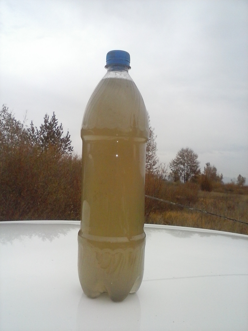 Третий слив воды — Toyota Vitz (10)