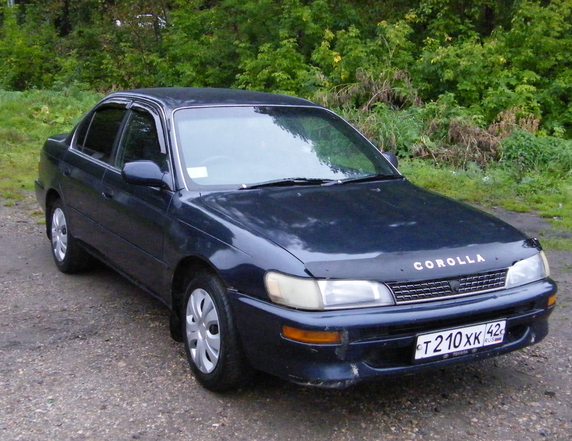     Toyota Corolla 15 1992