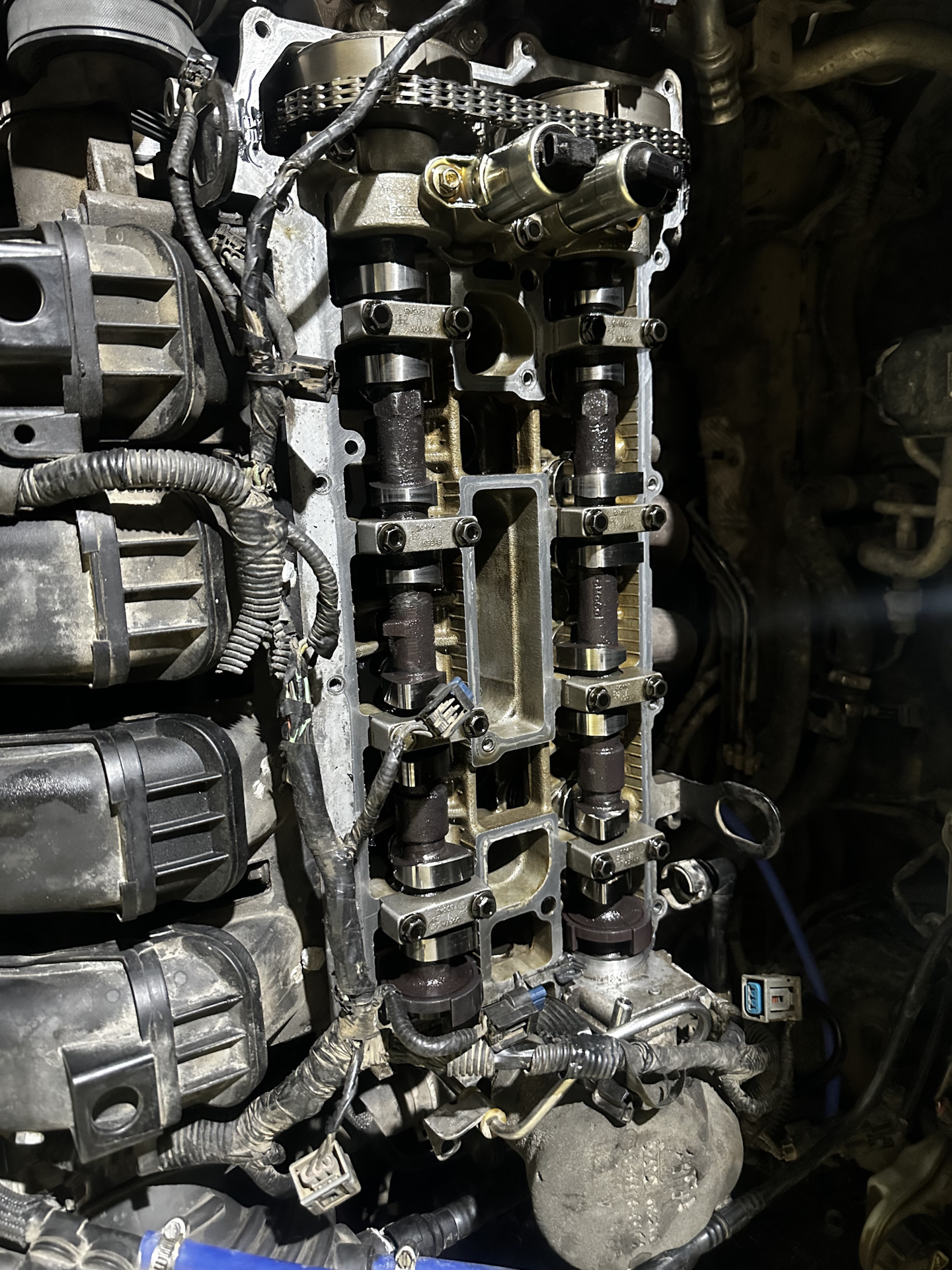 Распредвалы окб Dynacams на Ford Focus 3 2 часть — Ford Focus III Sedan ...