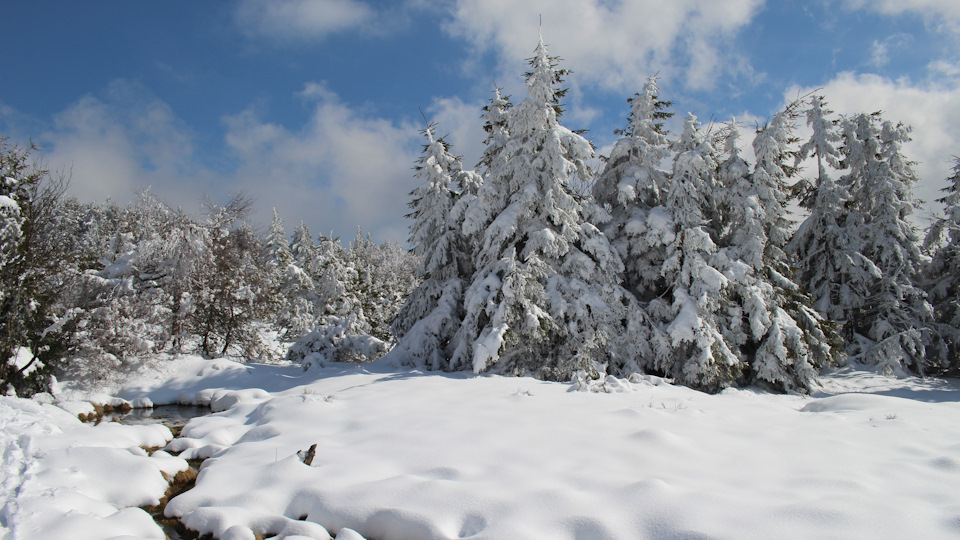 Фото в бортжурнале Audi A4 (B9)