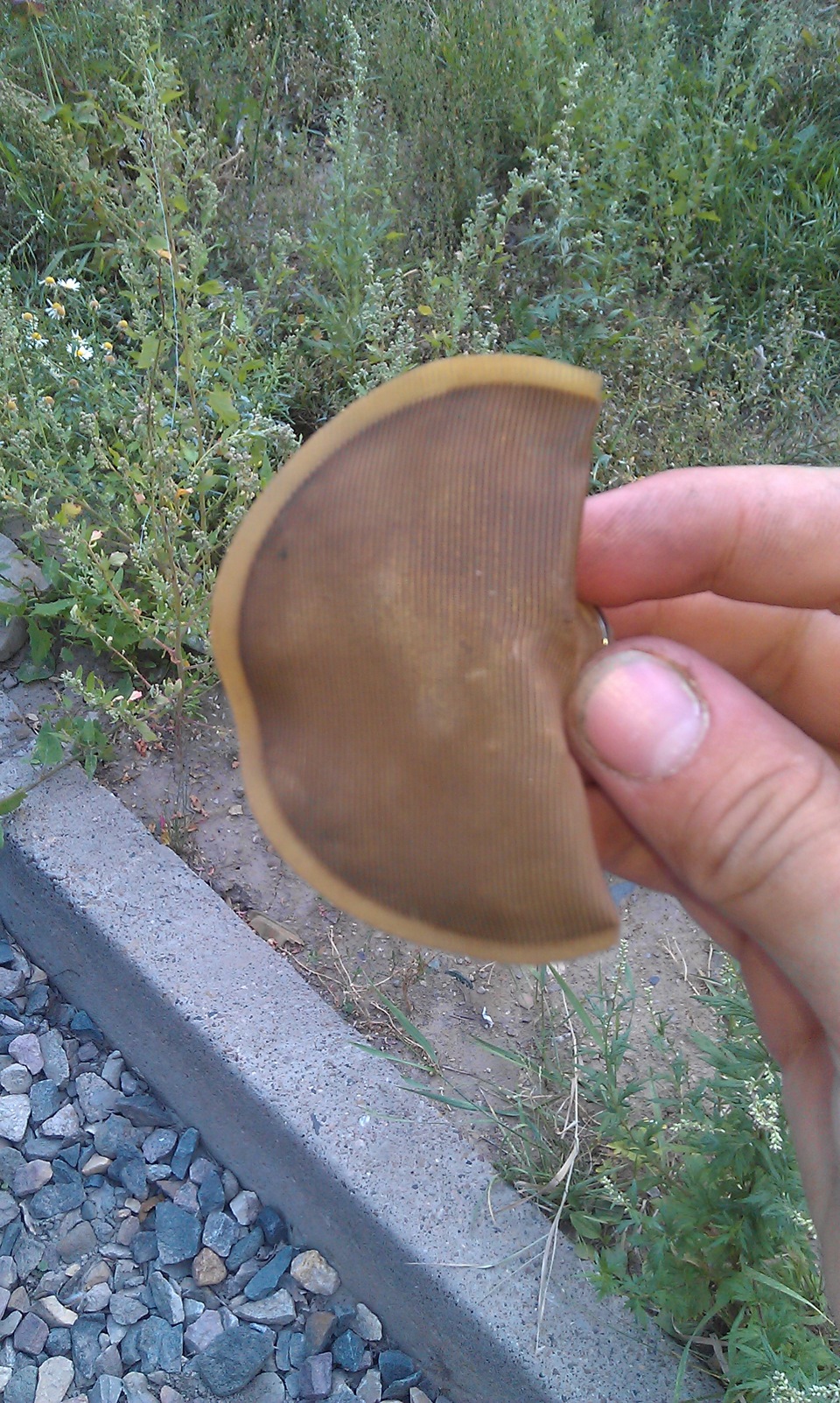 Замена сеточки бензонасоса — Hyundai Accent (2G), 1,5 л, 2008 года ...