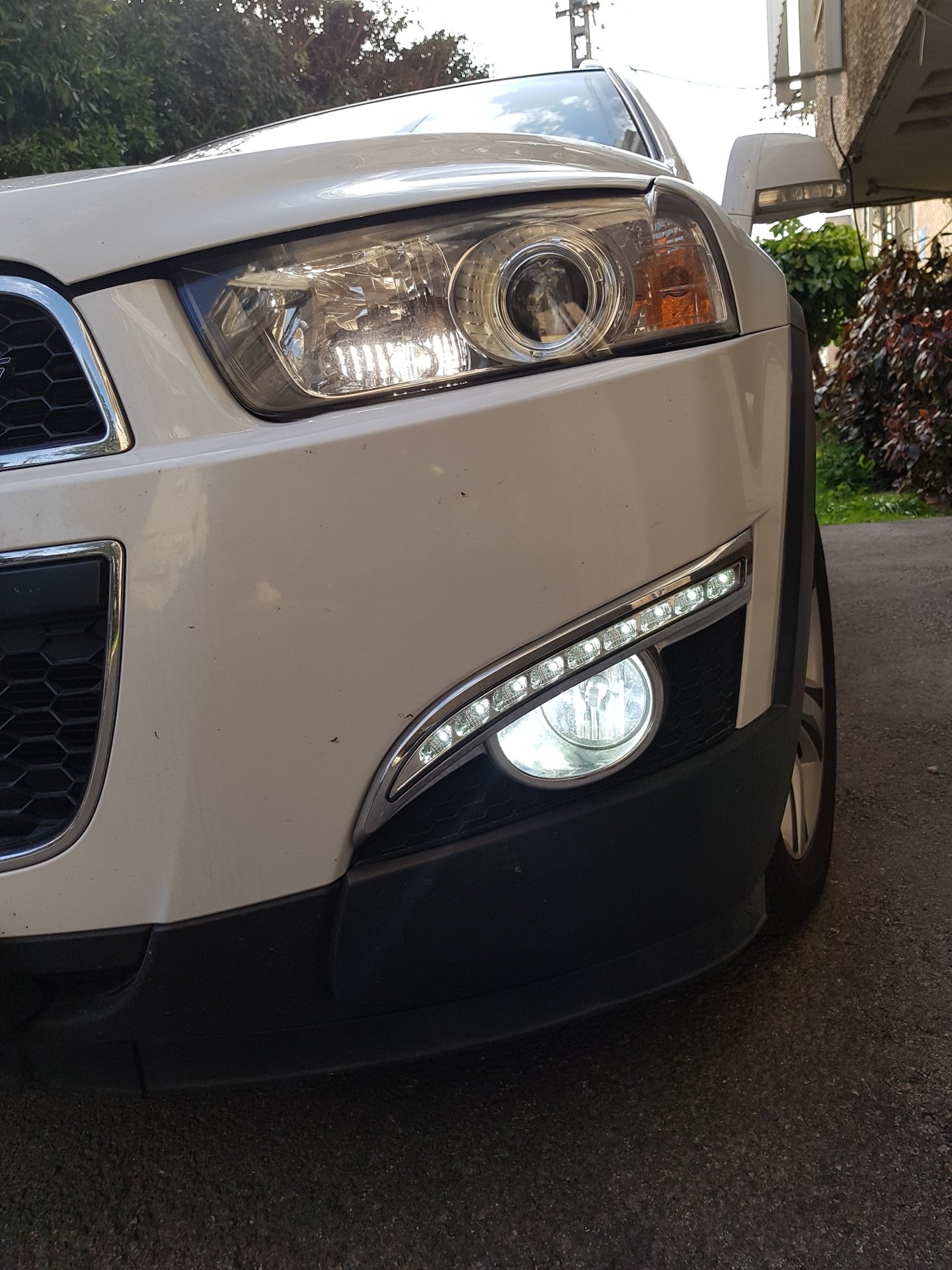 LED в противотуманки. — Chevrolet Captiva (1G), 2,4 л, 2012 года ...