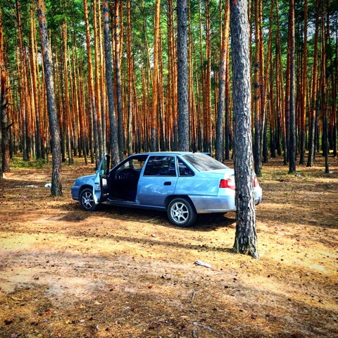 Audi r8 v10 2020 black. машина в лесу. путешествие на дэу нексия. звук машины в лесу. ауди р8 1920 1080.