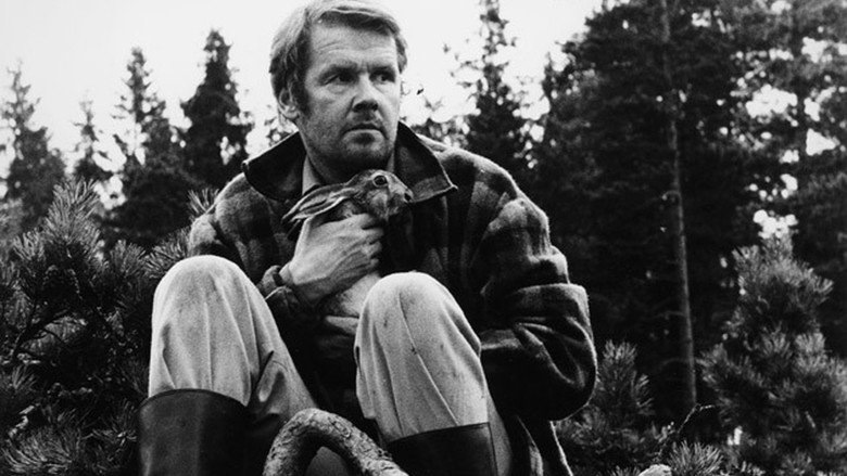 Арто Паасилинна "Год зайца" 1975г — Сообщество «Читательский Кружок» на ...